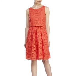 Coral Eliza J. Crochet Popover Dress